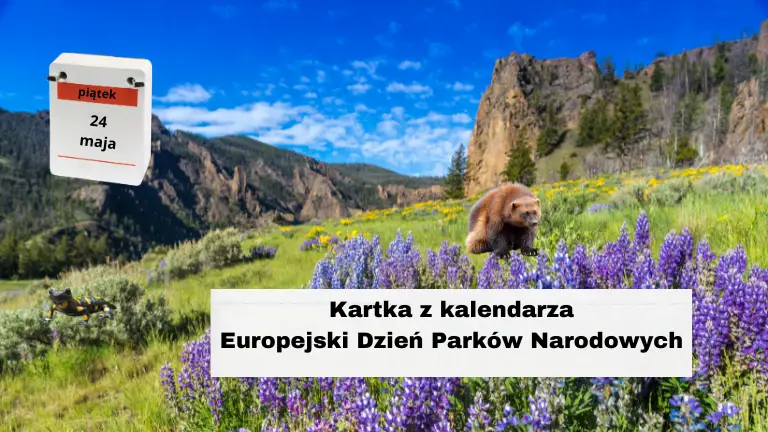 Kartka z kalendarza: Europejski Dzień Parków Narodowych