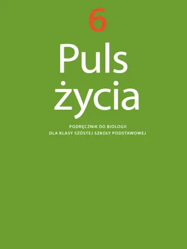 Puls życia 6