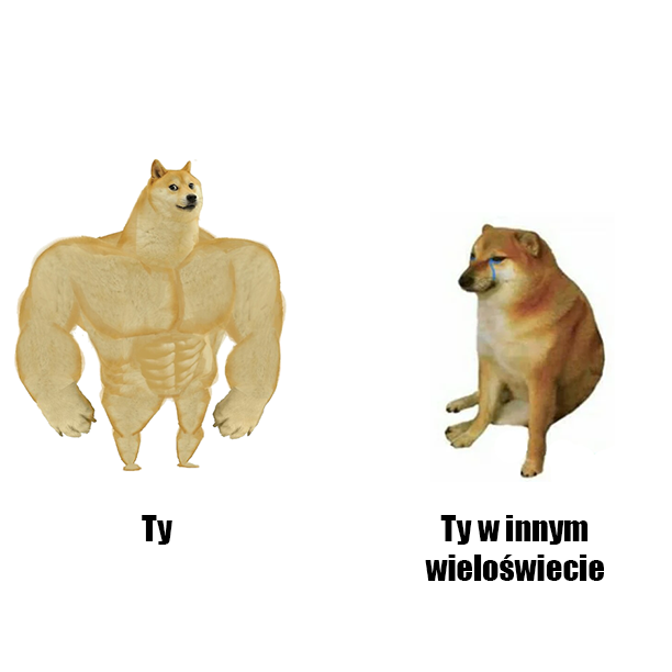 Teoria multiwersum – wieloświatu